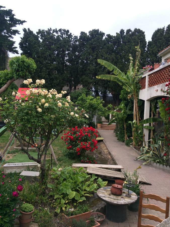Haras Des Arcades Vila Perpinhã Exterior foto