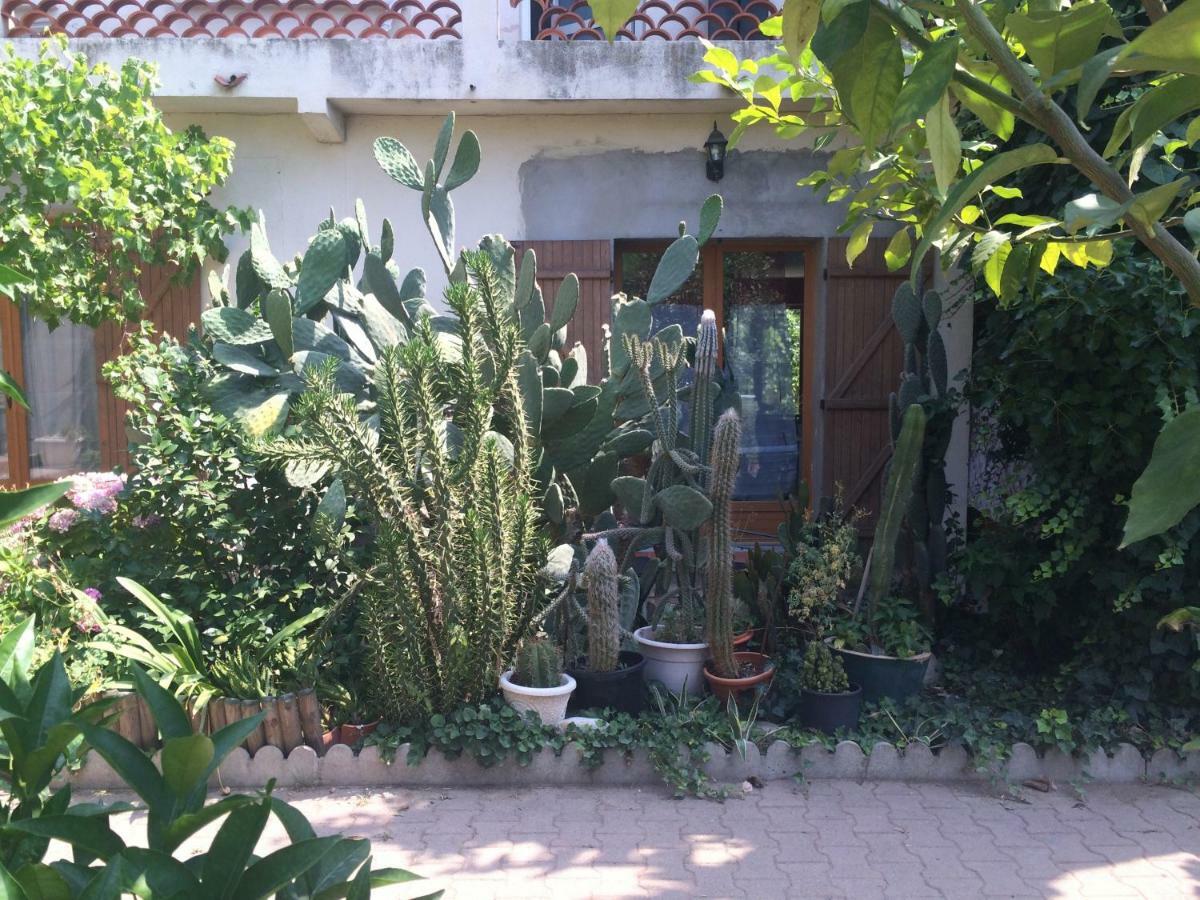 Haras Des Arcades Vila Perpinhã Exterior foto